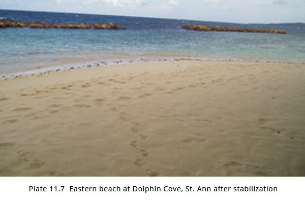 dolphin-cove-after