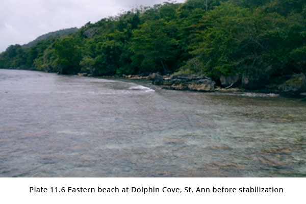 dolphin-cove-before
